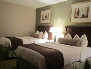 Baymont Inn & Suites Marietta Rum bild